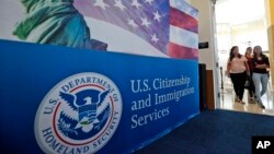 FILE - Suasana menjelang upacara naturalisasi di Kantor Layanan Kewarganegaraan dan Imigrasi AS di Miami, 17 Agustus 2018. (AP/Wilfredo Lee)