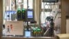 FILE - A pregnant and intubated COVID-19 patient lies in the Surgical Intensive Care Unit in a hospital in Boise, Idaho, on Aug. 31, 2021.