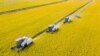 FAO: Harga Pangan Global Turun dari Rekor Tahun 2022, Kecuali Beras dan Gula 