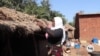 Malawi farmers reap rewards of ditching tobacco farming