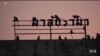 မျောက်နဲ့အတူယှဉ်တွဲနေထိုင်ရေး 