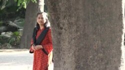  پچاس سال پرانے پیپل کے درخت کو نئی زندگی مل گئی 