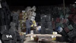 Li Qamişlo Projeyêa Veçerxandina Gilêşan