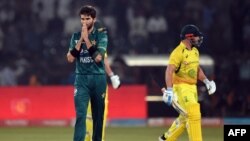 شاہین شاہ آفریدی، محمد وسیم اور عثمان قادر نے دو دو جب کہ حارث رؤف نے ایک وکٹ حاصل کی۔
