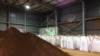 FILE - Rare earths dug up and processed into concentrate at Mount Weld in western Australia are pictured after being shipped to a plant in Gebeng, Malaysia, July 3, 2014.