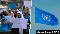 سخنگوی منشی عمومی سازمان ملل متحد گفته است که توجه سازمان ملل متحد در افغانستان روی برنامه‌های انکشافی، ارایه کمک‌های بشردوستانه و تلاش‌های سیاسی برای بهبود وضعیت زندگی‌ افغان‌ها متمرکز است.