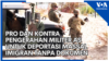 Pro dan Kontra Pengerahan Militer Amerika untuk Deportasi Massal Imigran Tanpa Dokumen