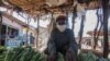 FILE - A vendor displays vegetables at his stand, as he wears a face mask to protect against the coronavirus, at an agricultural commodity market in Lilongwe, Malawi, May 4, 2020. 