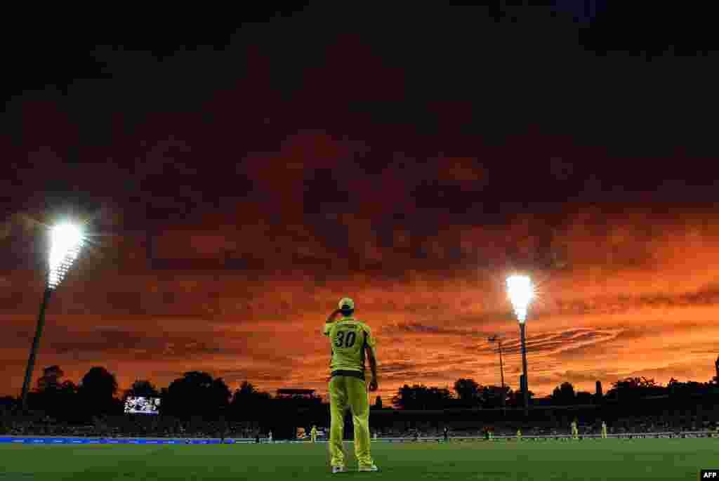 Australia's paceman Pat Cummins fields at the boundary line during the second game of the One Day International Cricket series between Australia and New Zealand in Canberra, Australia.