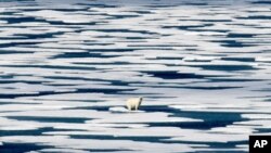 Arhiva - Fotografija polarnog medveda koji stoji na santi leda, u Frenkilnovom moreuzu u Kanadskom artkičkom arhipelagu, 22. jula 2017.