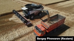 Sebuah truk memuat gandum saat panen di sebuah ladang di Wilayah Rostov, Rusia 7 Juli 2022 (foto: dok). 