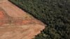 Deforestasi Hutan Tropis Dunia Melejit pada 2022  
