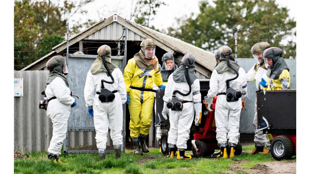 Employees from the Danish Veterinary and Food Administration and the Danish Emergency Management Agency in protective equipment are seen amid the coronavirus disease (COVID-19) outbreak at a mink farm in Gjoel, North Jutland, Denmark October 8, 2020.