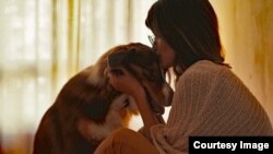 AHA-pets and your health. Courtesy: American Heart Association