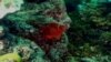 16x9 Image