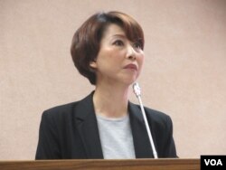 执政党民进党立委陈亭妃