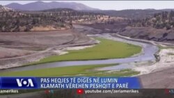 Pas heqjes të digës, në lumin Klamath vërehen peshqit e parë 