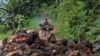 Indonesia Prihatin Soal Regulasi UU Deforestasi Uni Eropa yang Dinilai Mendiskriminasi Industri Minyak Sawit 
