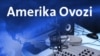 Matthew M. Fischer-Daly, Cotton Campaign Coordinator, June 19 2013 talking to VOA Uzbek