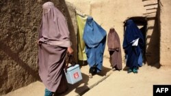 از آغاز سال جاری میلادی تا به حال ۵۶ کودک در افغانستان به مرض پولیو مصاب شده اند