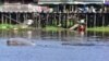 Pesut yang sedang berenang di sungai dengan latar belakang rumah-rumah panggung penduduk di tepian sungai Mahakam. (Foto: Yayasan Konservasi RASI)