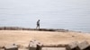 Seorang pria berjalan di salah satu dari pantai yang ditutup setelah seorang turis Rusia tewas diserang hiu di dekat pantai di resor Laut Merah, Hurghada, 9 Juni 2023. (Foto: Mohamed Abd El Ghany/Reuters)