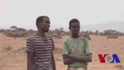Xitaa Geela ayaa u adkeysan la' abaarta
